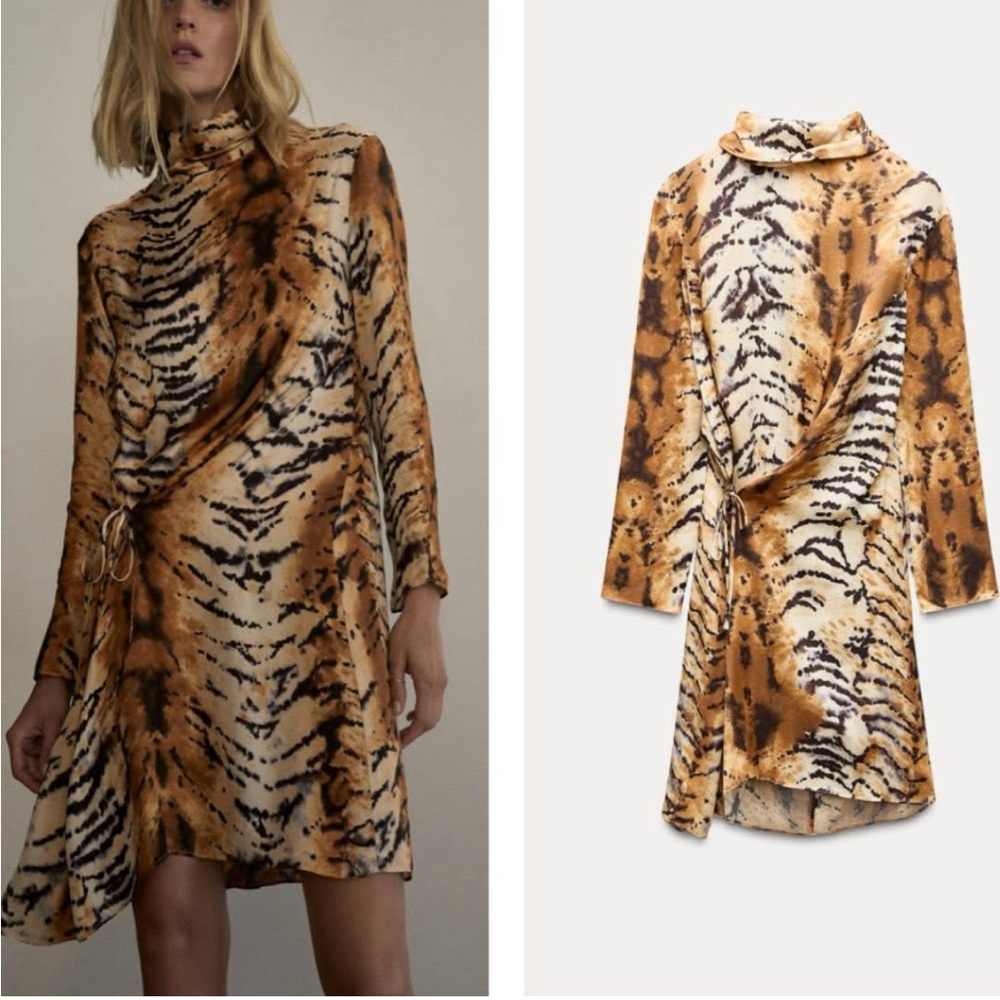 Zara Animal Print Long Sleeve Dress